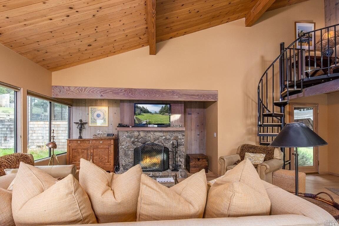 智能电视、壁炉、书、立体声音响