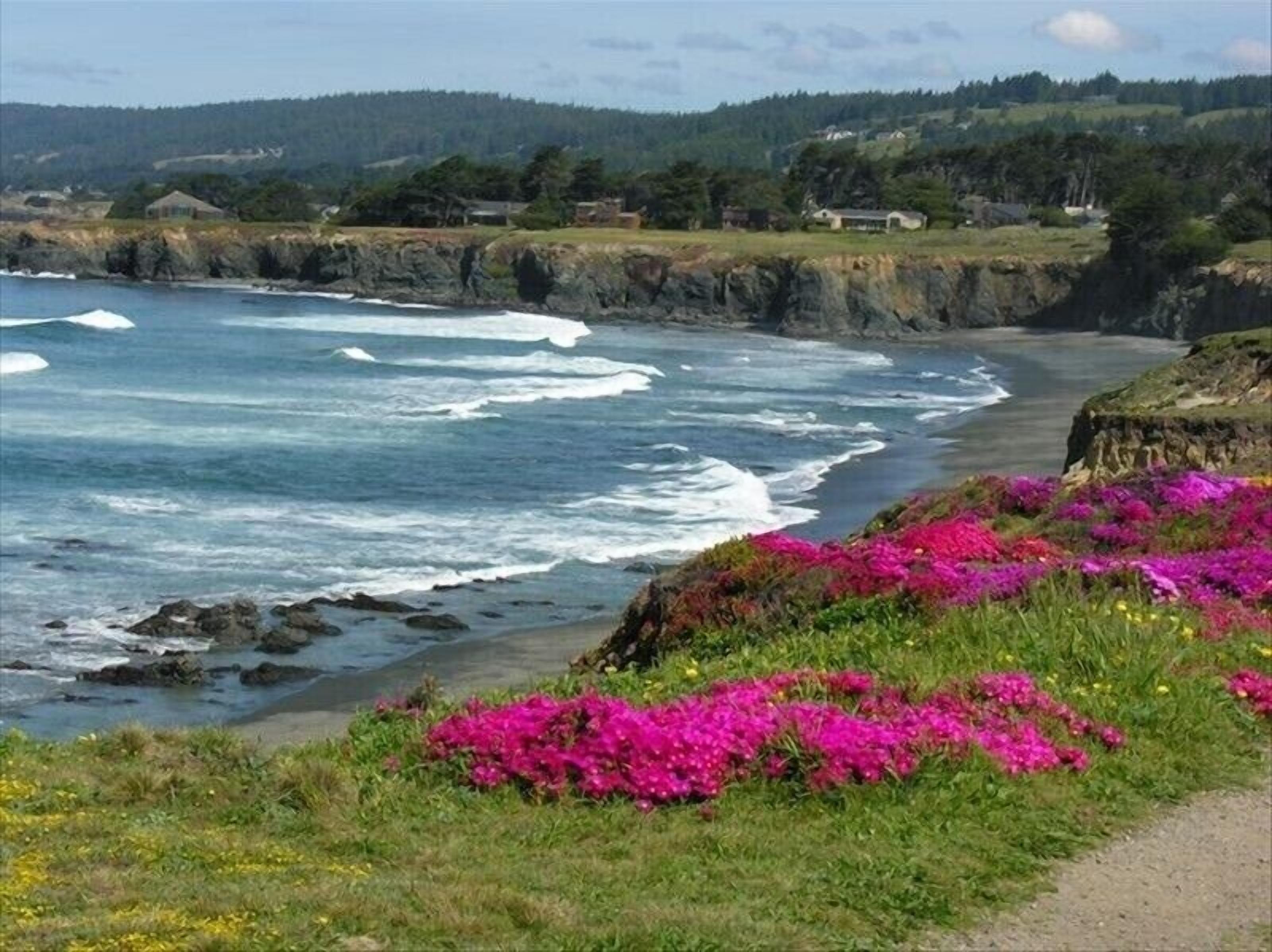 靠近海滩、沙滩毛巾