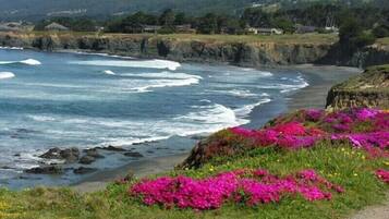 Plage à proximité, serviettes de plage