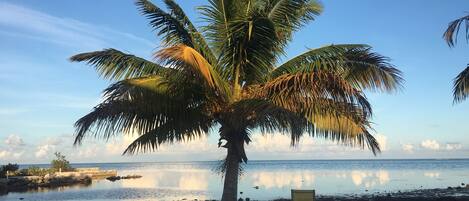 Plage, chaises longues, serviettes de plage