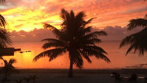 Scena di spiaggia con una palma, sedie e un tramonto.