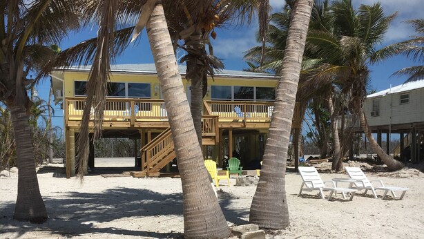 Una proprietà fronte spiaggia con terrazza in legno, palme e un edificio con diversi balconi.