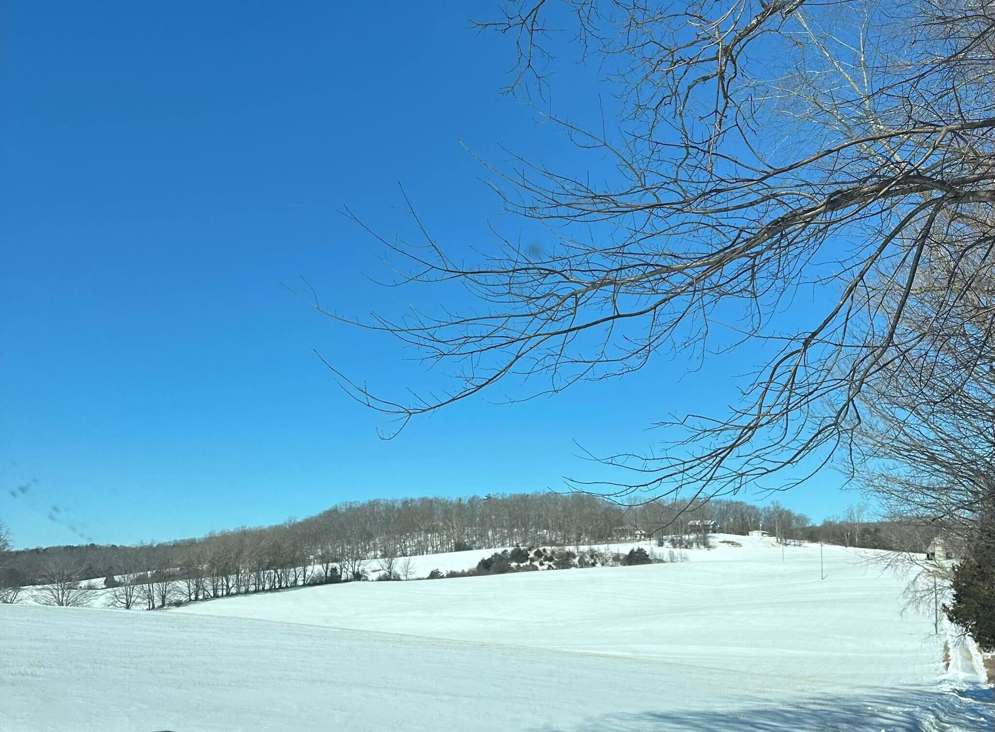 Eine verschneite Landschaft mit blauem Himmel und kahl stehenden Bäumen.
