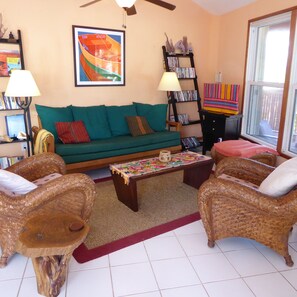 Flat-screen TV, DVD player, books, video library