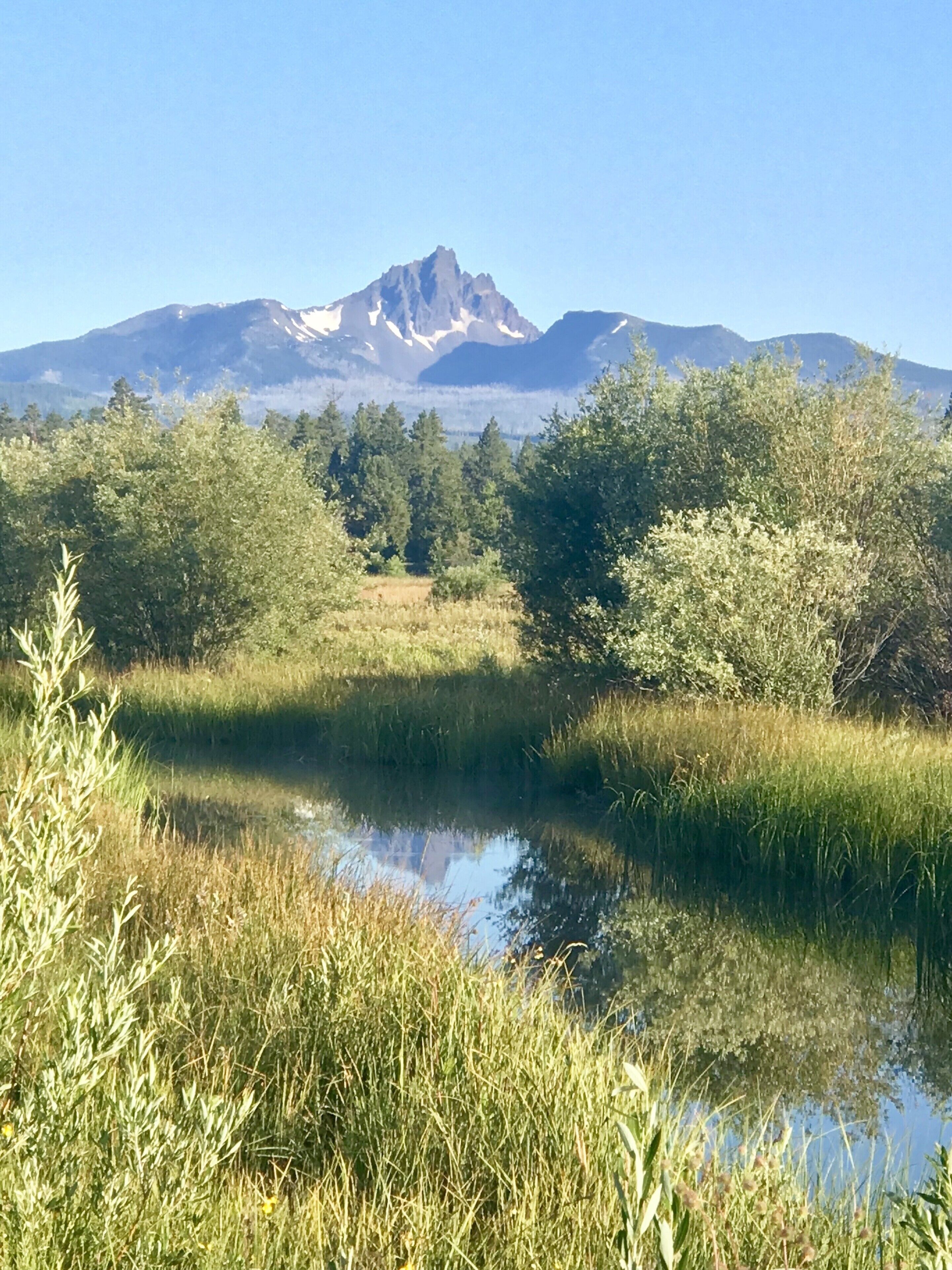 Eine natürliche Landschaft mit einem Berg im Hintergrund, einem Teich im Vordergrund und dichtem Grün.