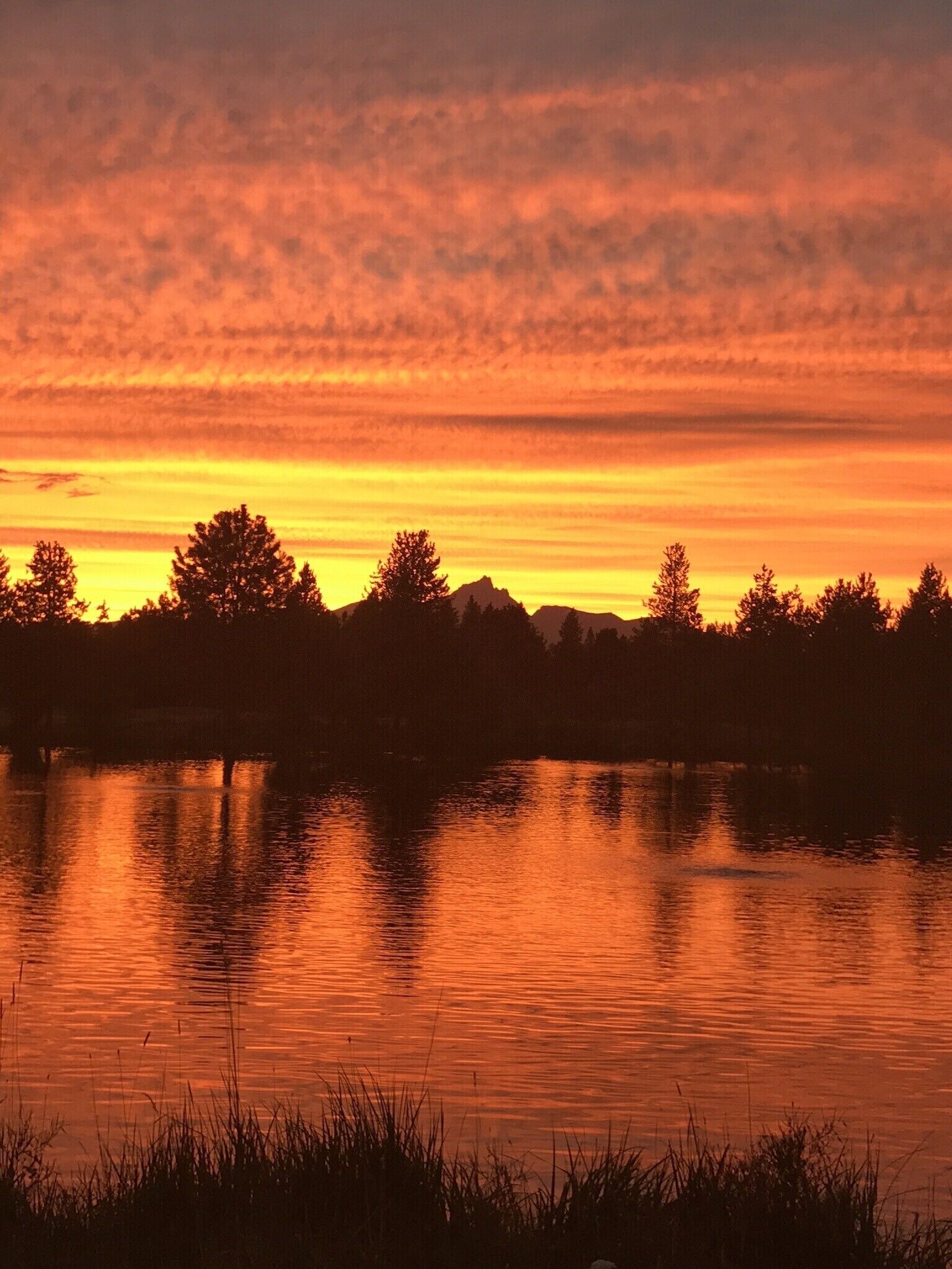 Un coucher de soleil sur un lac paisible, avec les silhouettes d’arbres et une chaîne de montagnes lointaine.