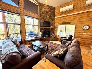 TV, fireplace
