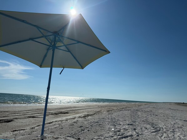 Playa en los alrededores y camastros 