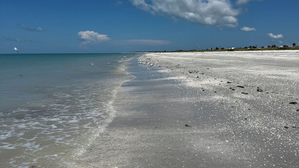 A beach with clear skies and gentle waves. - Sleeps 10 - Available Year Round -  Huge Private Home (Sanibel)