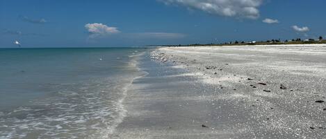 Plage à proximité, chaises longues