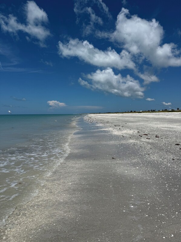 Beach nearby, sun loungers