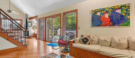 TV connectée, cheminée, lecteur de DVD, livres