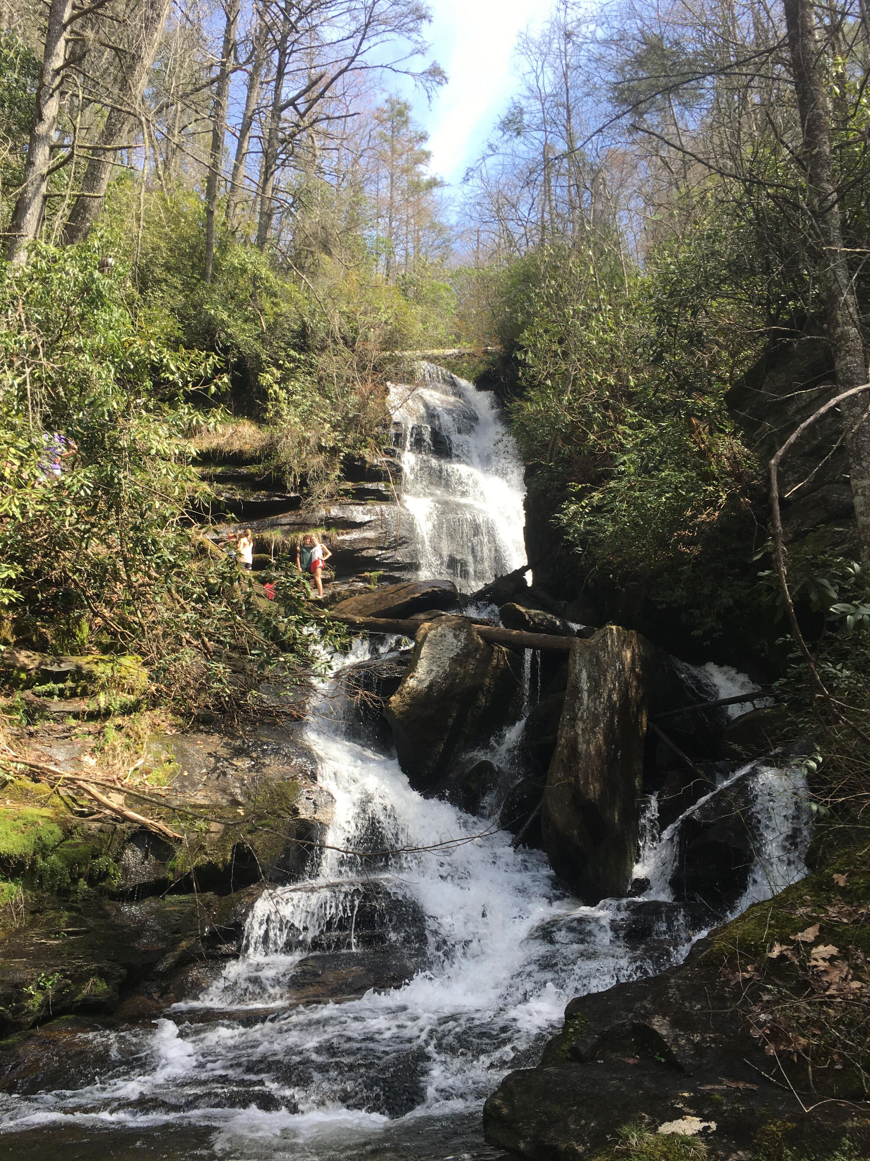 Hike to Falls From Cabin, Cyclists Paradise, Fishing Close By
