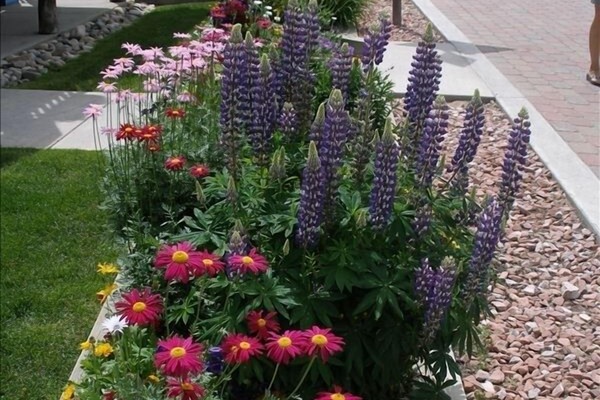 Àrea exterior de l'allotjament