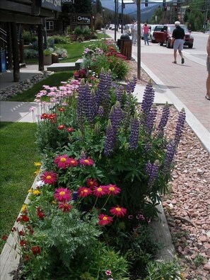 Property grounds - Rated 'Exceptional','The Best Beaver Village Rental',Low Rates  sleeps 6 (Winter Park)