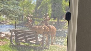 A wooden deck with a bench and a view of deer in a natural setting. - Located on the Historic Gunnison River-Casa Del Rio (Gunnison)