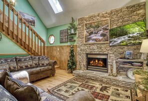 TV, fireplace, video games, DVD player