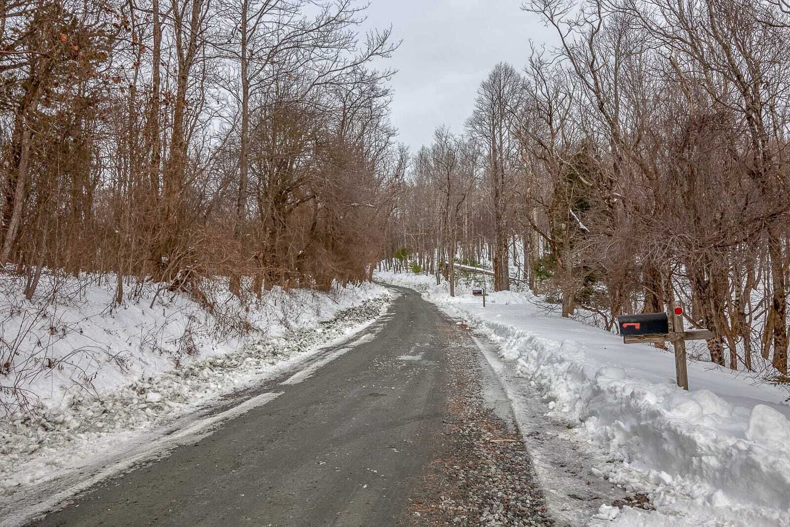 A snow-covered road flanked by leafless trees.
