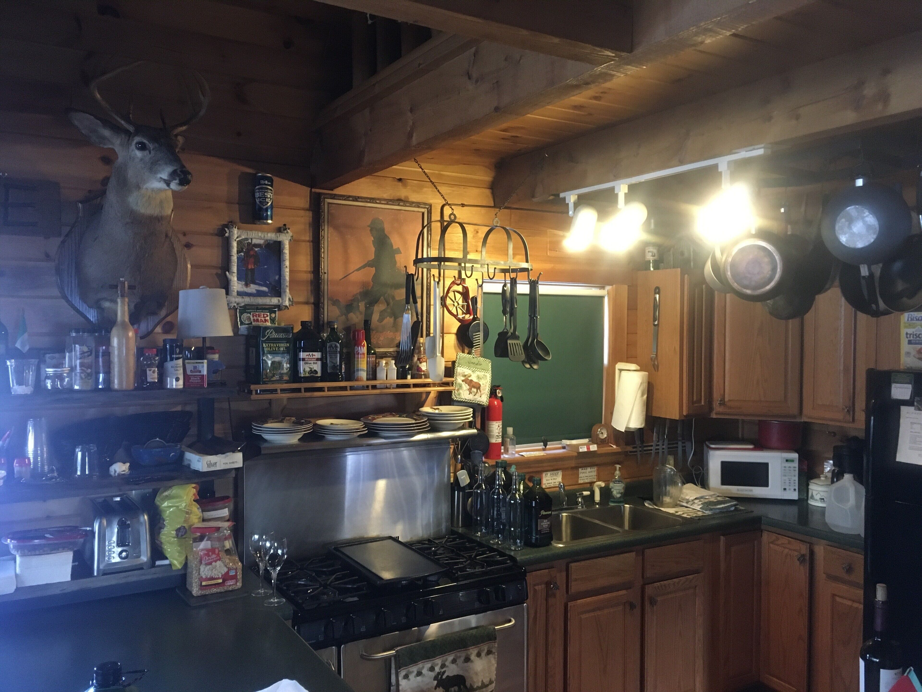 Log Cabin ; private; near Greenville Moosehead Lake Region