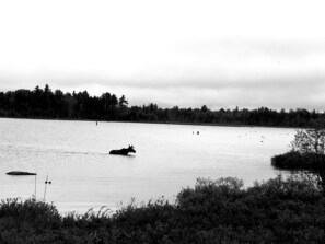 Photo non classée, 3 sur 24, bouton