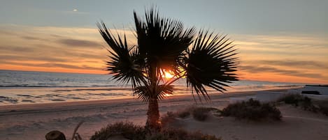 Plage, chaises longues, serviettes de plage