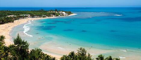 On the beach, sun-loungers, beach towels