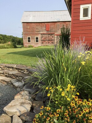 A rustic barn with a metal roof, a red wooden building, and a stone border with yellow flowers. - A Cozy Farmstead Cottage Amidst Two Barns in Hudson Valley (Stone Ridge)