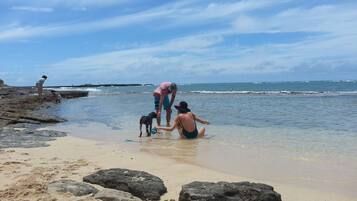 Sillas reclinables de playa, toallas de playa