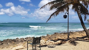 A beach with rocky terrain, a bench, a palm tree, and a street lamp. -  Location! Golf, Swim, Surf & WALKING distance to Hotel and beaches. (Kahuku)