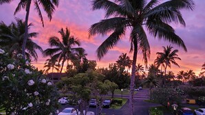 A parking area with multiple cars, palm trees, and a sunset sky. -  Location! Golf, Swim, Surf & WALKING distance to Hotel and beaches. (Kahuku)