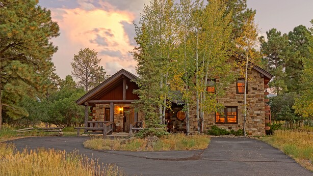A rustic stone cabin with a wooden porch, surrounded by tall trees and a clear sky.