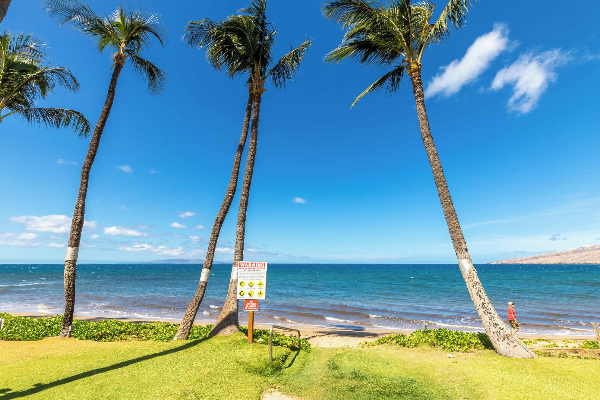 Una playa con palmeras y un letrero de advertencia.