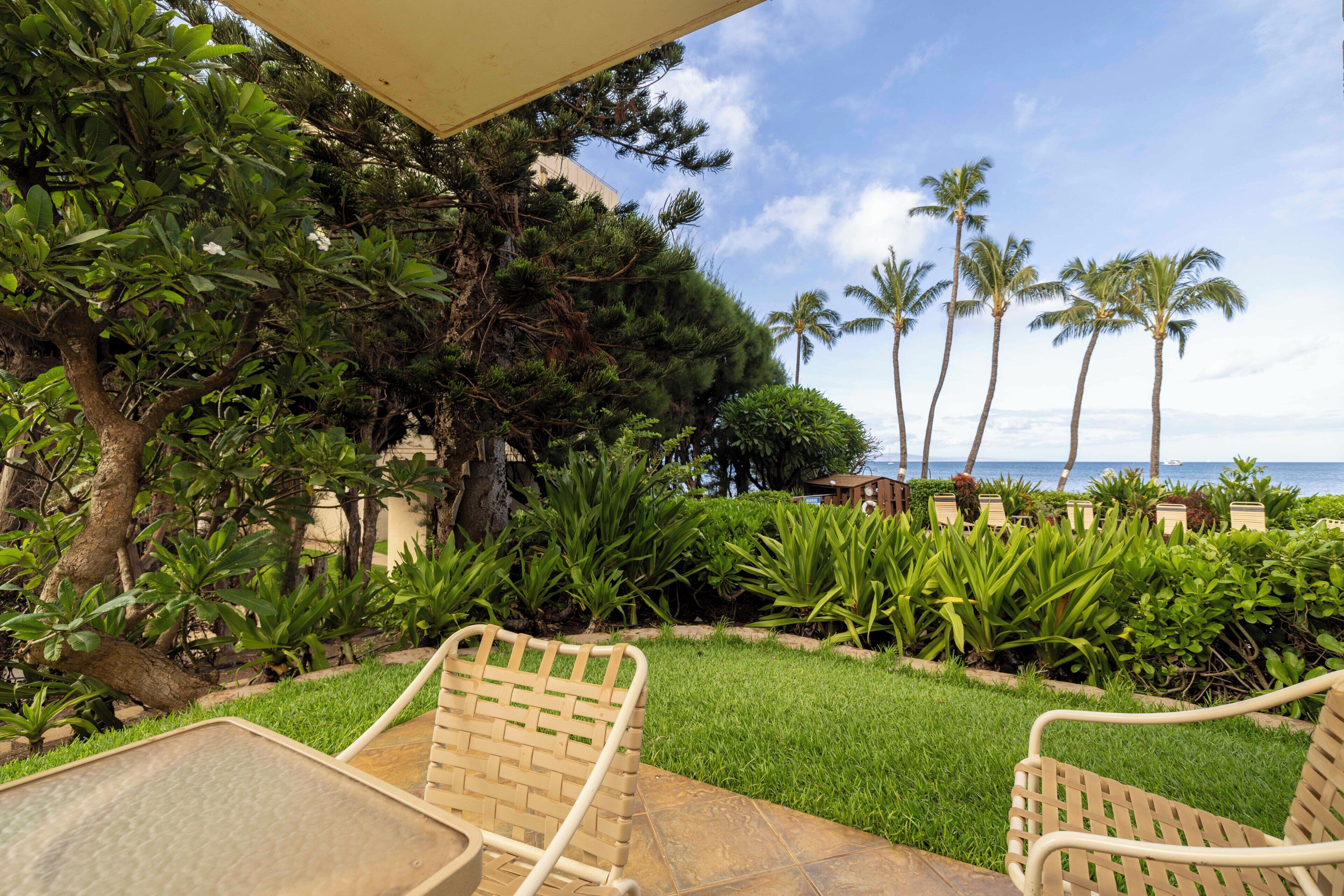 A patio area with a table and chairs, surrounded by lush greenery and palm trees, overlooking a body of water.