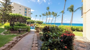 A pathway leading to a building with a view of the ocean and palm trees. - Oceanfront Kealia 101 Kihei Condo  Dramatic Views Steps from Pool and Beach (Kihei)