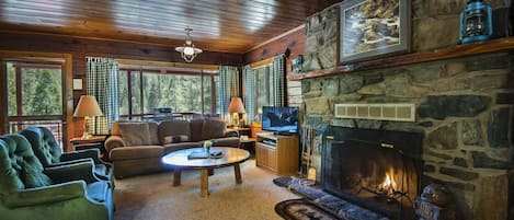 Télévision, cheminée, lecteur de DVD