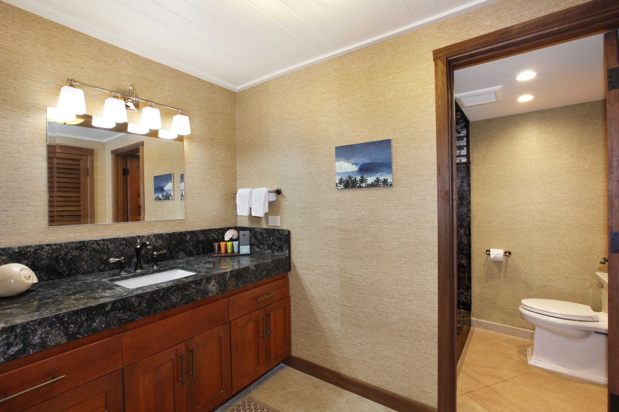 bathtub, hair dryer, towels, shampoo