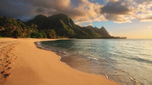A beach with a mountain in the background.