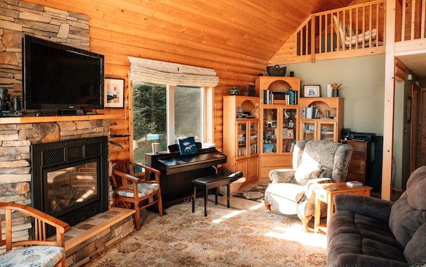 Smart TV, fireplace, DVD player, books