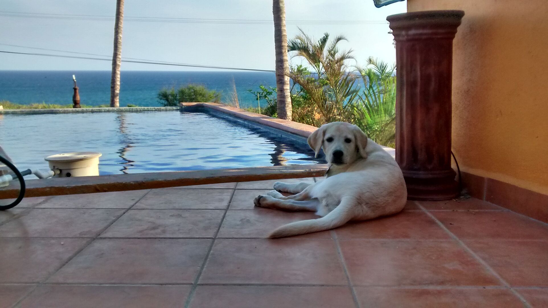 Casa Mango in Palapas Resort, San Jose Del Cabo, across from beach, OPEN & SAFE