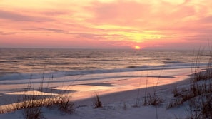 On the beach - Perfect Gulf Front Beach House *Beach Club Amenities*The Best of Both Worlds! (Gulf Shores)