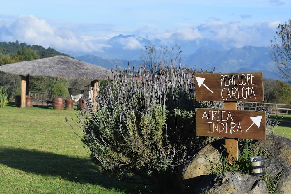 Casa Kitsch, un paraíso en la Sierra de Puebla