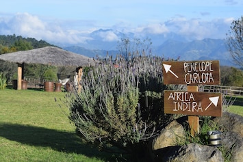 Image of Casa Kitsch, un paraíso en la Sierra de Puebla