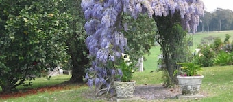 Figtree Cottage - rustige landelijke vakantie