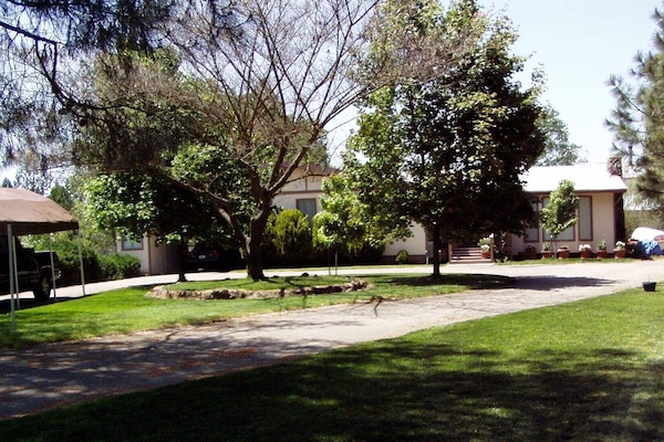 Front yard of property at top of short hill