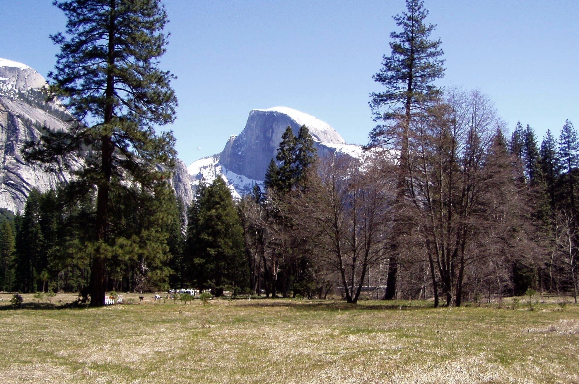 Un paisaje montañoso con un pico destacado, rodeado por un bosque de árboles altos.