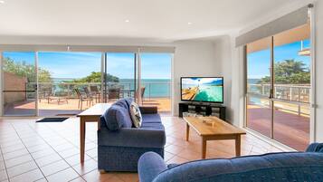 TV, DVD player, livros, videoteca