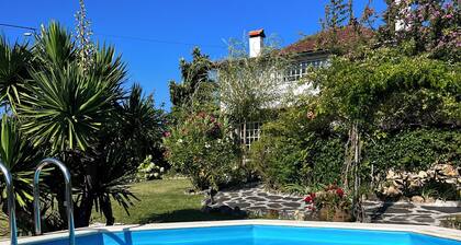 Atlantin pesä Poiaresissa