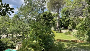 Un rigoglioso giardino con piscina, circondato da fitta vegetazione e un muro in pietra.