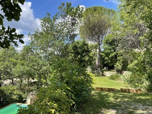 Un exuberante jardín con piscina, rodeado de abundante follaje y un muro de piedra.