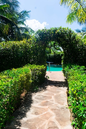 Un sendero de piedra que conduce a una piscina rodeada de abundante vegetación y palmeras.